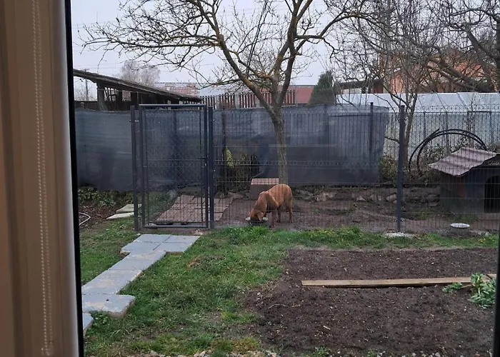 Tajny House Hébergement de vacances *